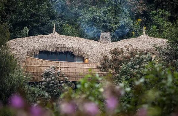 Accommodation and Safari Lodges in Rwanda