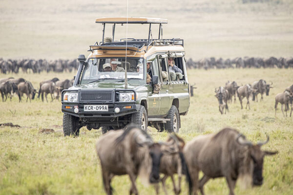 Masai Mara Serengeti Zanzibar