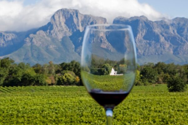 9-Day Luxury South Africa Safari