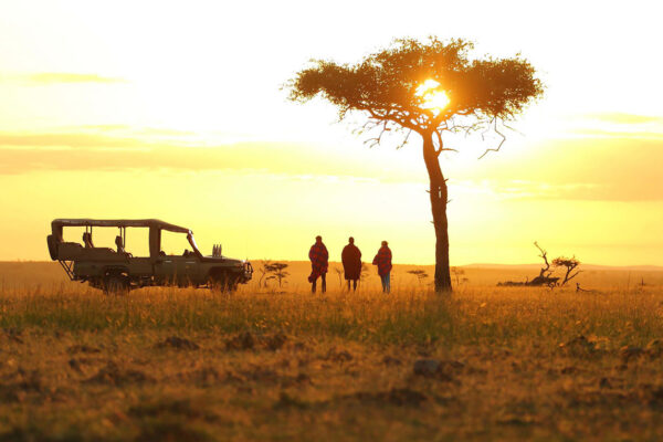 Gorilla Trekking and Kenya Safari