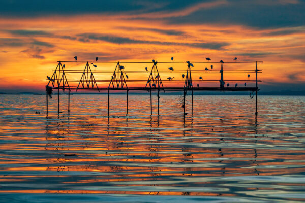 Lake Victoria