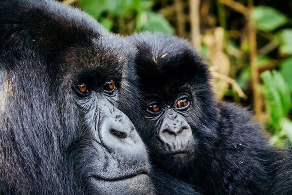 Rwanda and Tanzania Rwanda and Tanzania