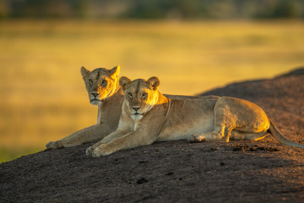 Rwanda and Tanzania Rwanda and Tanzania
