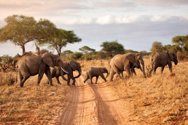 Rwanda and Tanzania Rwanda and Tanzania