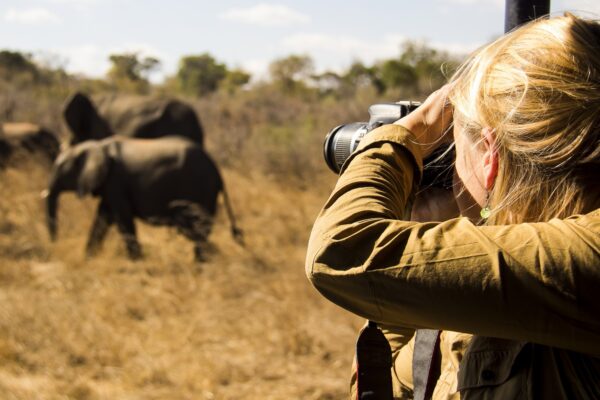 African Safaris For Single Senior Travelers