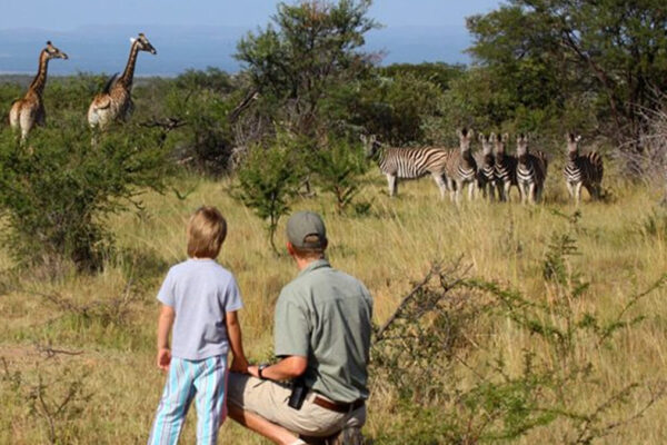 Family Safari in Akagera Family Safari in Akagera